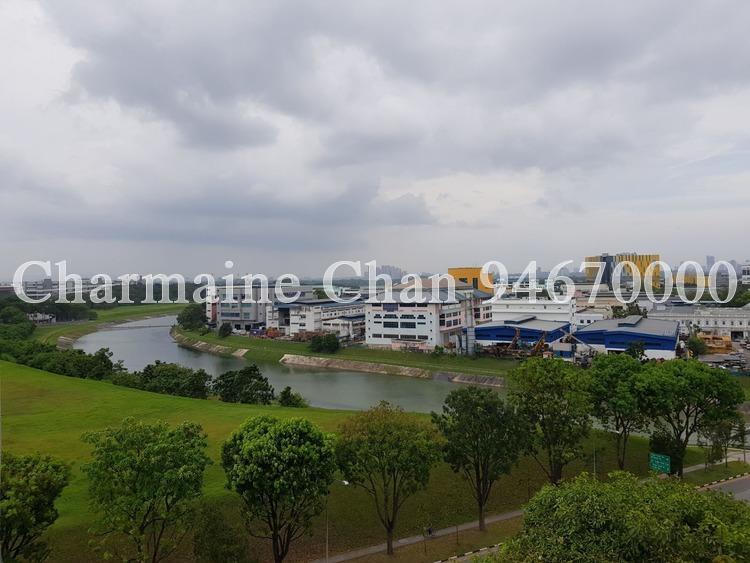 Blk 683A Choa Chu Kang Crescent (Choa Chu Kang), HDB 5 Rooms #167879722